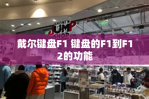 戴尔键盘F1 键盘的F1到F12的功能-第1张图片-星选测评