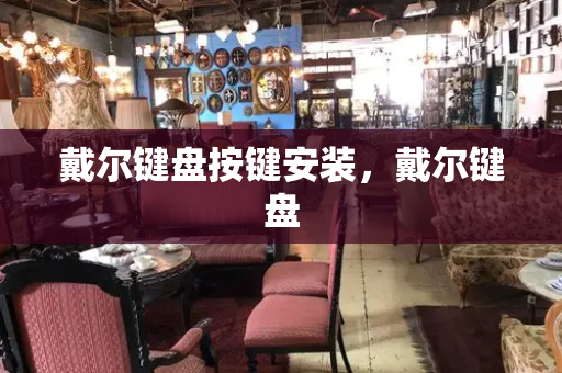 戴尔键盘按键安装，戴尔键盘-第1张图片-星选测评
