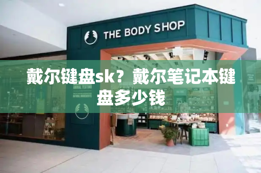 戴尔键盘sk？戴尔笔记本键盘多少钱