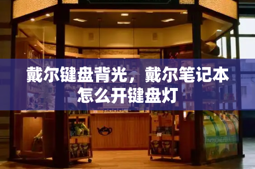 戴尔键盘背光，戴尔笔记本怎么开键盘灯-第1张图片-星选测评