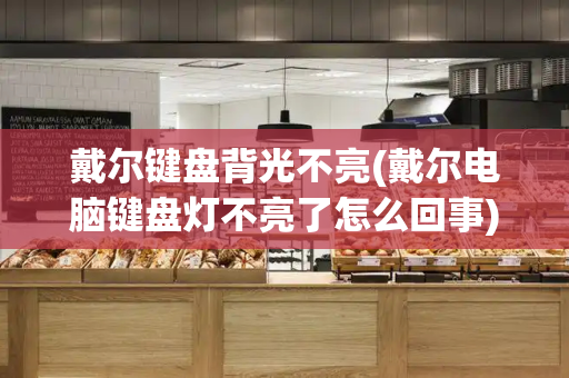 戴尔键盘背光不亮(戴尔电脑键盘灯不亮了怎么回事)-第1张图片-星选测评