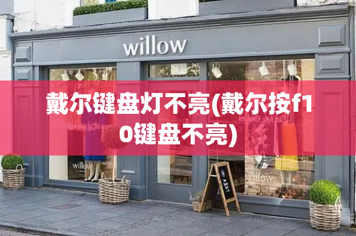 戴尔键盘灯不亮(戴尔按f10键盘不亮)-第1张图片-星选测评