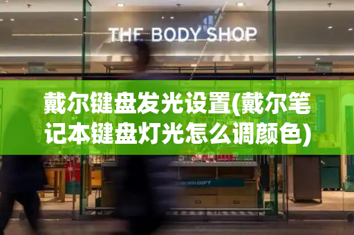 戴尔键盘发光设置(戴尔笔记本键盘灯光怎么调颜色)
