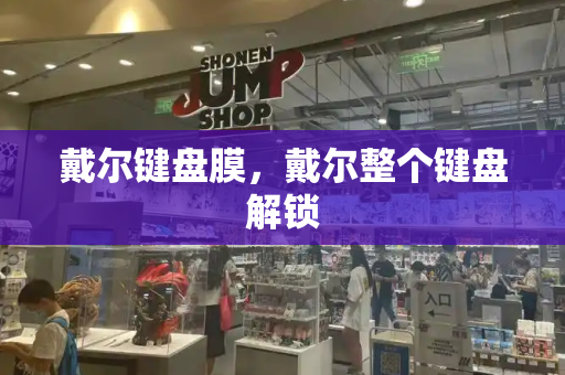 戴尔键盘膜，戴尔整个键盘解锁