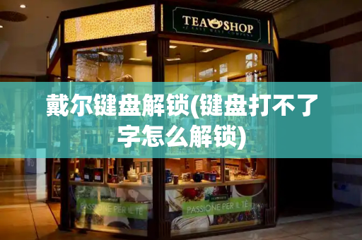 戴尔键盘解锁(键盘打不了字怎么解锁)-第1张图片-星选测评