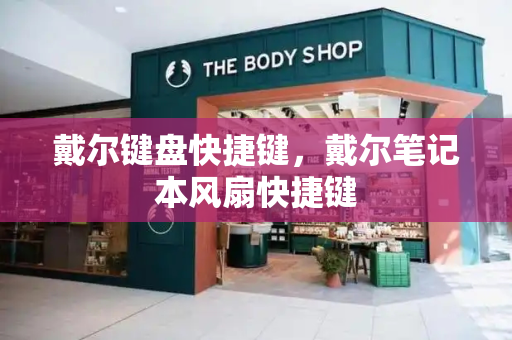戴尔键盘快捷键，戴尔笔记本风扇快捷键