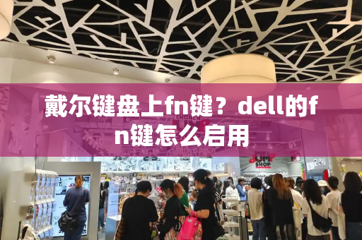 戴尔键盘上fn键？dell的fn键怎么启用-第1张图片-星选测评