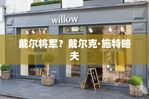 戴尔将军？戴尔克·施特略夫-第1张图片-星选测评