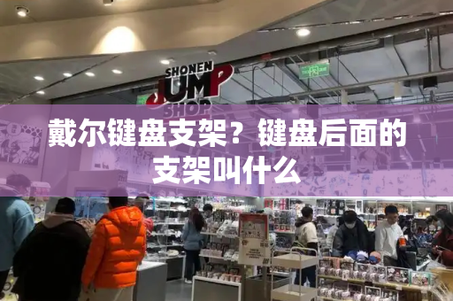 戴尔键盘支架？键盘后面的支架叫什么-第1张图片-星选测评