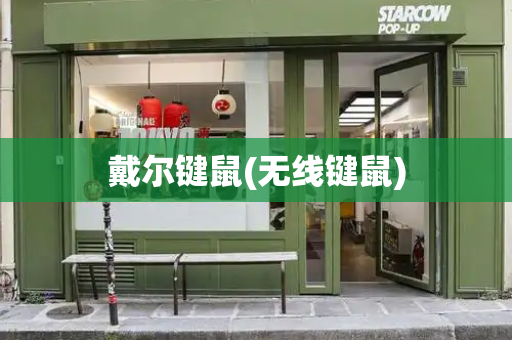 戴尔键鼠(无线键鼠)