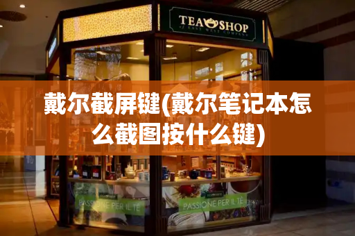 戴尔截屏键(戴尔笔记本怎么截图按什么键)