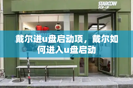 戴尔进u盘启动项，戴尔如何进入u盘启动