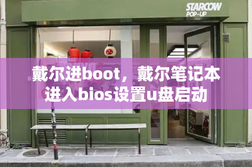 戴尔进boot，戴尔笔记本进入bios设置u盘启动