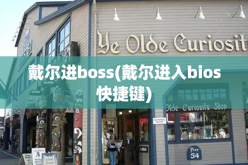 戴尔进boss(戴尔进入bios快捷键)