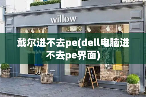 戴尔进不去pe(dell电脑进不去pe界面)-第1张图片-星选测评