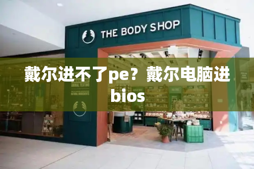 戴尔进不了pe？戴尔电脑进bios