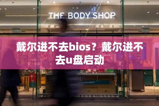 戴尔进不去bios？戴尔进不去u盘启动-第1张图片-星选测评