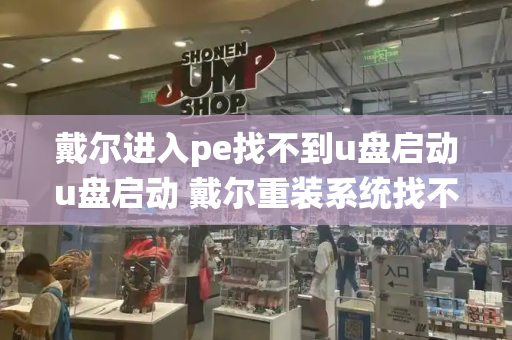 戴尔进入pe找不到u盘启动u盘启动 戴尔重装系统找不到硬盘