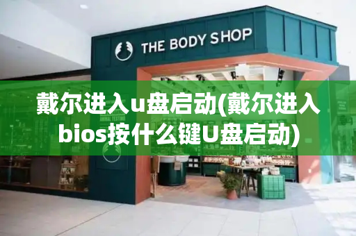 戴尔进入u盘启动(戴尔进入bios按什么键U盘启动)-第1张图片-星选测评