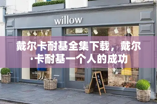 戴尔卡耐基全集下载，戴尔·卡耐基一个人的成功-第1张图片-星选测评