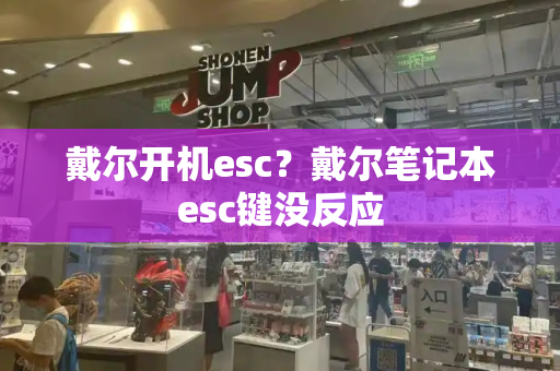 戴尔开机esc？戴尔笔记本esc键没反应