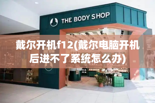 戴尔开机f12(戴尔电脑开机后进不了系统怎么办)-第1张图片-星选测评
