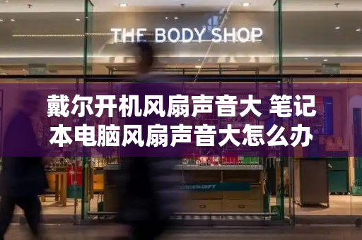 戴尔开机风扇声音大 笔记本电脑风扇声音大怎么办-第1张图片-星选测评
