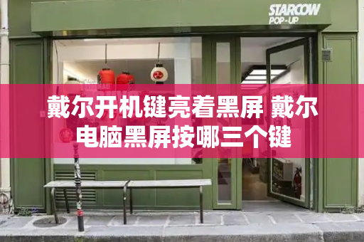 戴尔开机键亮着黑屏 戴尔电脑黑屏按哪三个键-第1张图片-星选测评