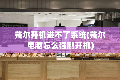 戴尔开机进不了系统(戴尔电脑怎么强制开机)-第1张图片-星选测评