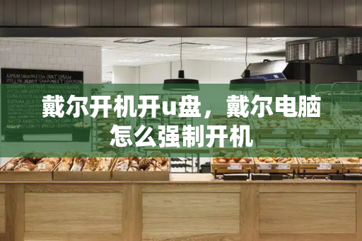 戴尔开机开u盘，戴尔电脑怎么强制开机-第1张图片-星选测评