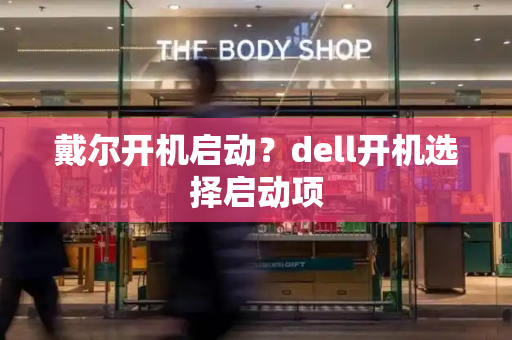 戴尔开机启动？dell开机选择启动项-第1张图片-星选测评