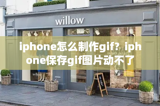 iphone怎么制作gif？iphone保存gif图片动不了-第1张图片-星选测评