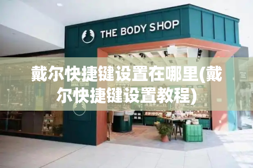 戴尔快捷键设置在哪里(戴尔快捷键设置教程)-第1张图片-星选测评