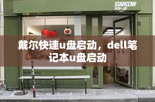 戴尔快速u盘启动，dell笔记本u盘启动