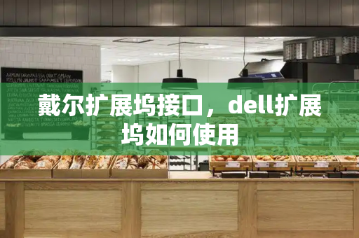 戴尔扩展坞接口，dell扩展坞如何使用-第1张图片-星选测评