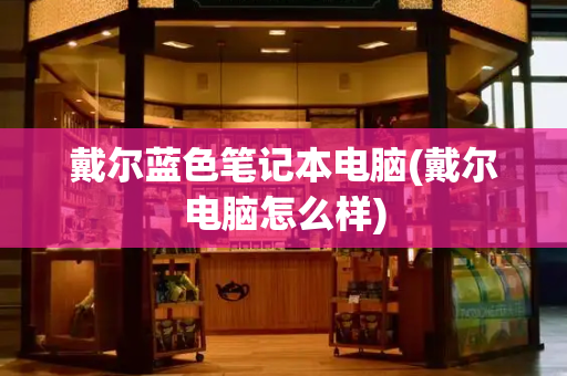 戴尔蓝色笔记本电脑(戴尔电脑怎么样)-第1张图片-星选测评