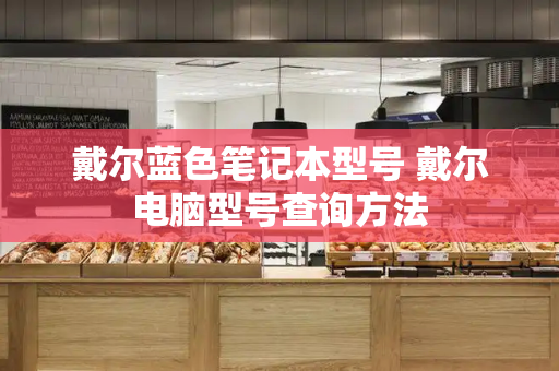 戴尔蓝色笔记本型号 戴尔电脑型号查询方法