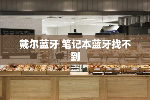 戴尔蓝牙 笔记本蓝牙找不到
