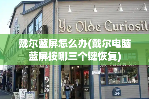 戴尔蓝屏怎么办(戴尔电脑蓝屏按哪三个键恢复)-第1张图片-星选测评