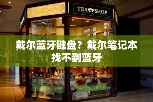戴尔蓝牙键盘？戴尔笔记本找不到蓝牙-第1张图片-星选测评