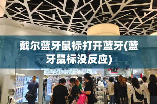 戴尔蓝牙鼠标打开蓝牙(蓝牙鼠标没反应)