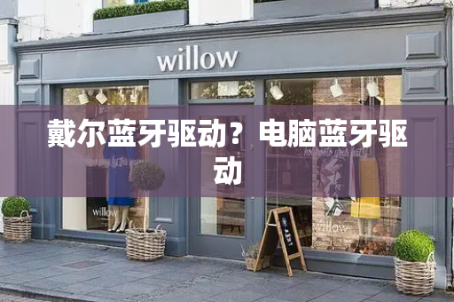 戴尔蓝牙驱动？电脑蓝牙驱动-第1张图片-星选测评