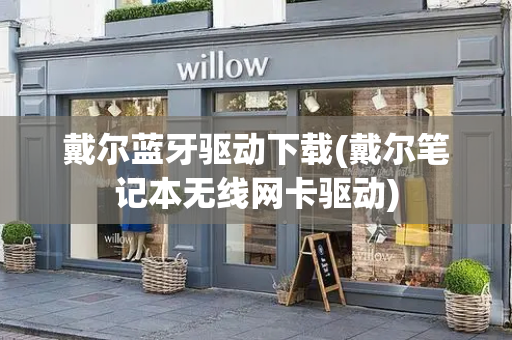 戴尔蓝牙驱动下载(戴尔笔记本无线网卡驱动)