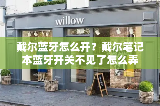 戴尔蓝牙怎么开？戴尔笔记本蓝牙开关不见了怎么弄-第1张图片-星选测评