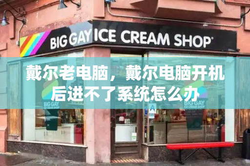 戴尔老电脑，戴尔电脑开机后进不了系统怎么办-第1张图片-星选测评