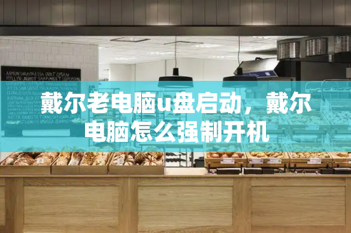 戴尔老电脑u盘启动，戴尔电脑怎么强制开机-第1张图片-星选测评