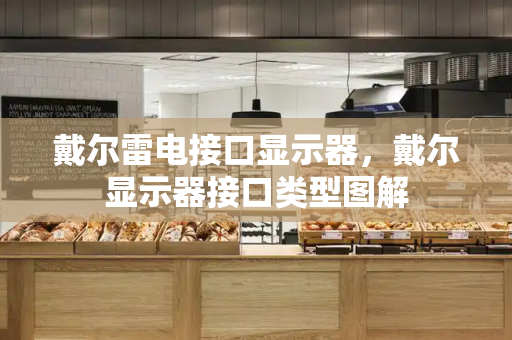 戴尔雷电接口显示器，戴尔显示器接口类型图解