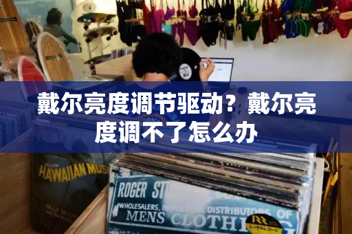 戴尔亮度调节驱动？戴尔亮度调不了怎么办-第1张图片-星选测评
