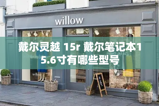 戴尔灵越 15r 戴尔笔记本15.6寸有哪些型号-第1张图片-星选测评