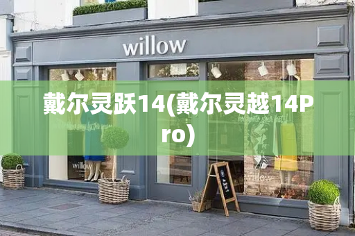 戴尔灵跃14(戴尔灵越14Pro)